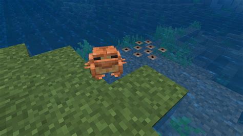 Where to Find <strong>Minecraft</strong> Frogspawn. . How to pick up tadpoles in minecraft